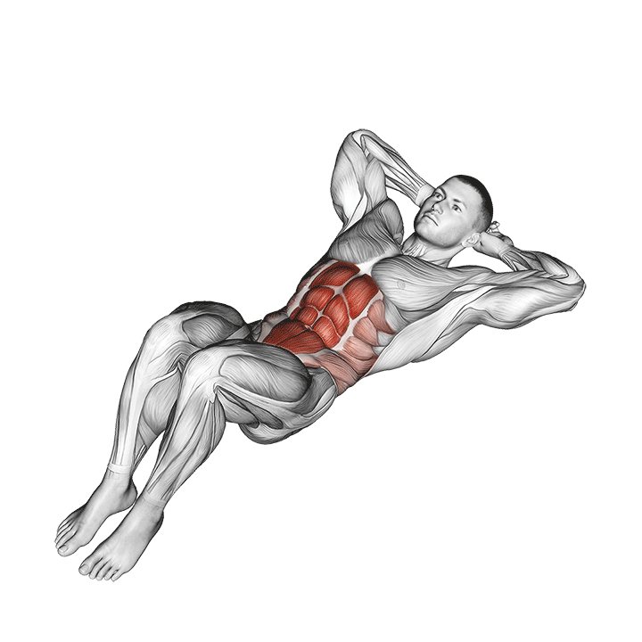 Abdominal Crunches exercise animation