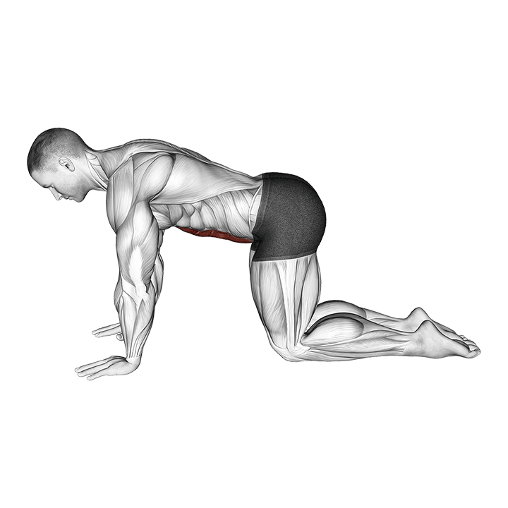 Abdominal Vaccum exercise animation