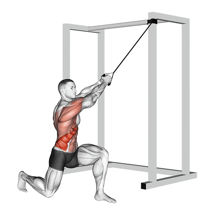 Band Half Kneeling Chop exercise animation