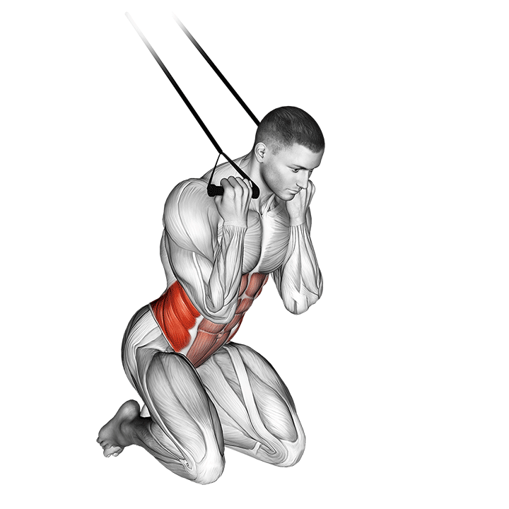 Band Kneeling Twisting Crunch exercise animation