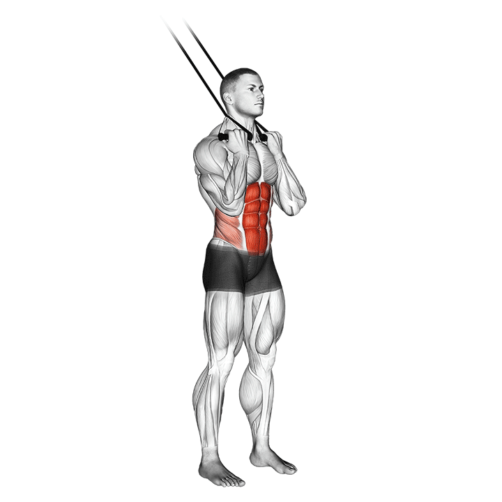 Band Standing Crunches exercise animation