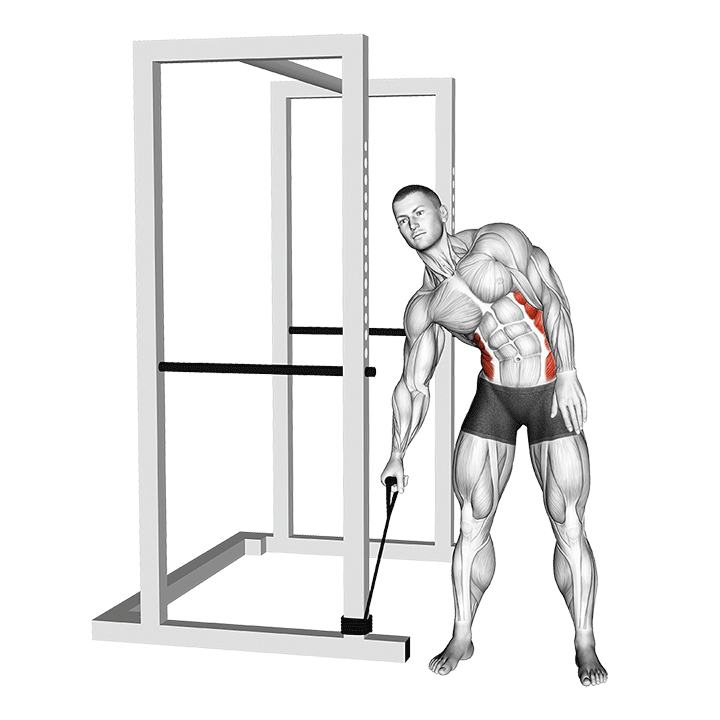 Band Standing Side Bend exercise animation