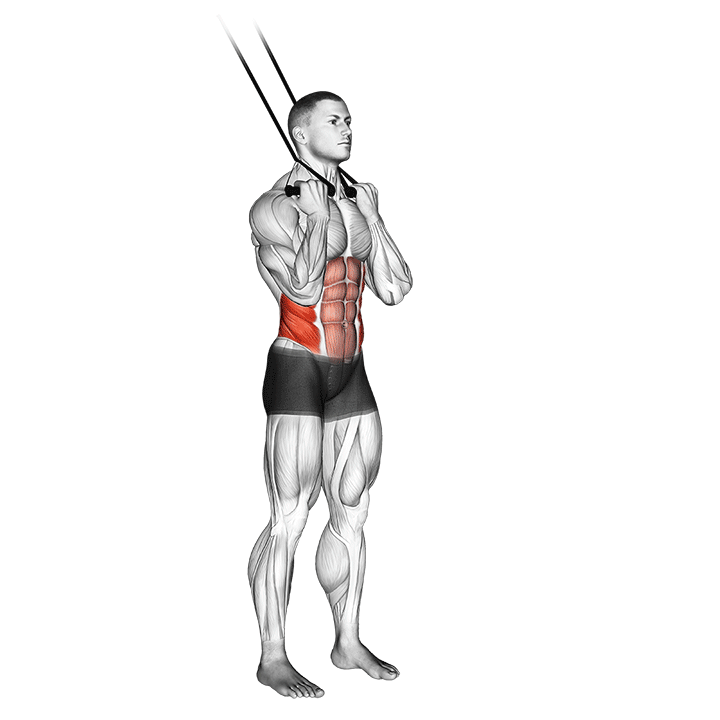 Band Standing Twisting Crunches exercise animation