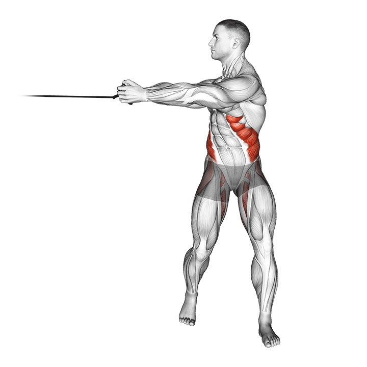 Band Twist (horizontal) exercise animation