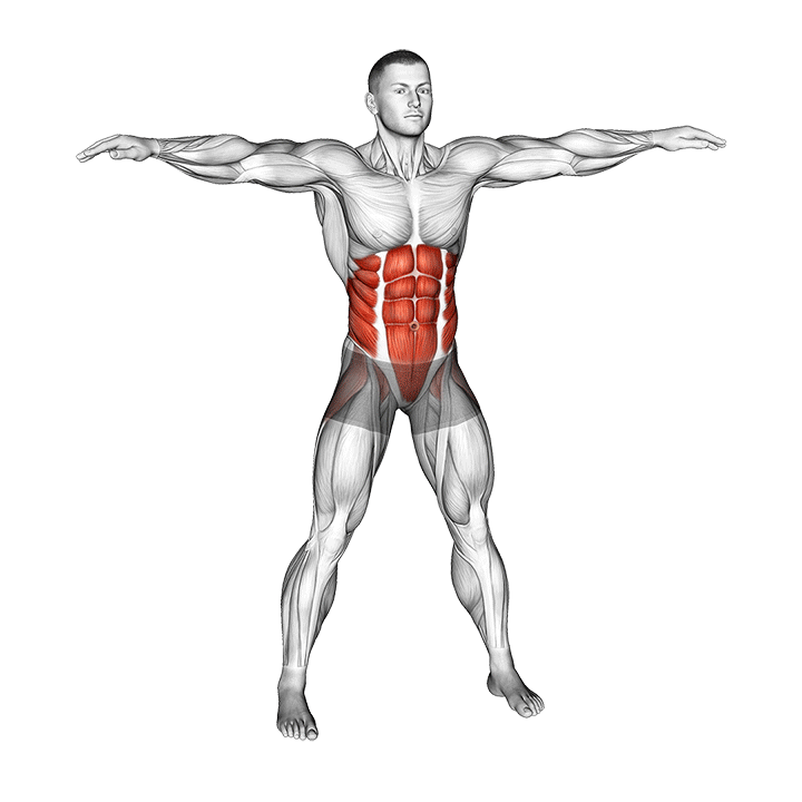 Bodyweight Windmill exercise animation