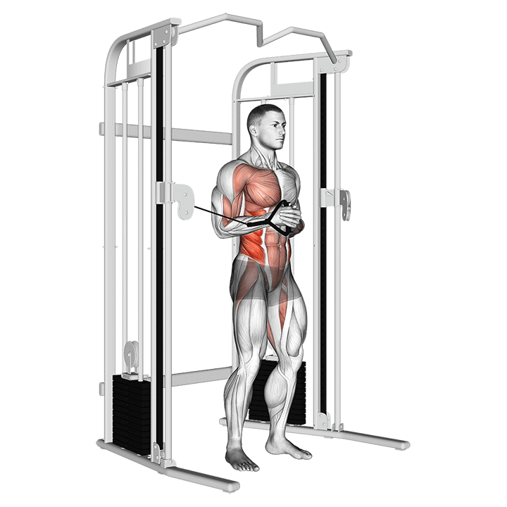 Cable Horizontal Pallof Press exercise animation