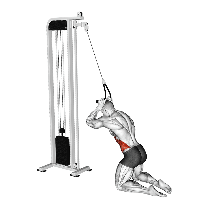 Cable Kneeling Side Crunch exercise animation