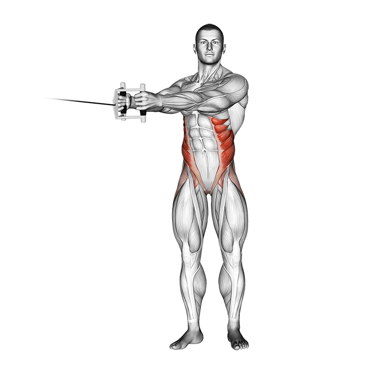 Cable Twist (horizontal) exercise animation