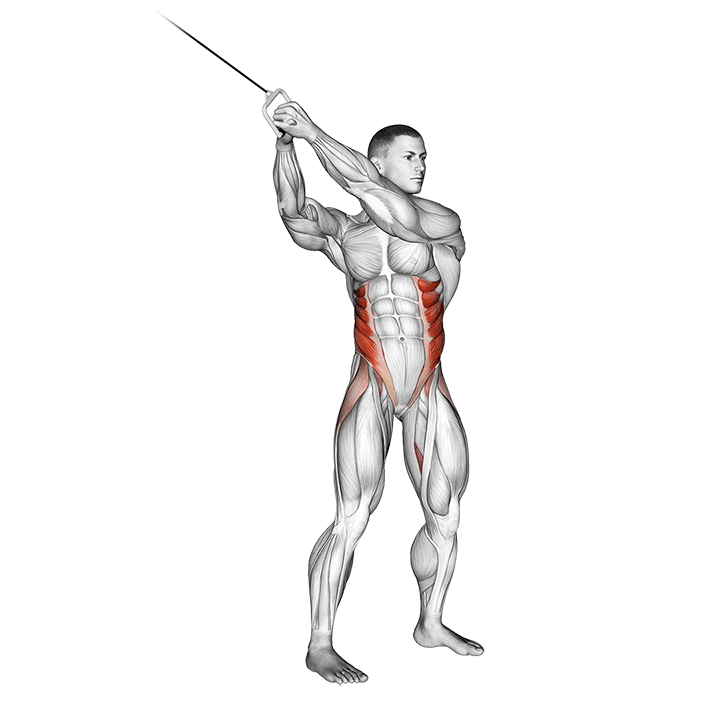 Cable Twist (up down) exercise animation