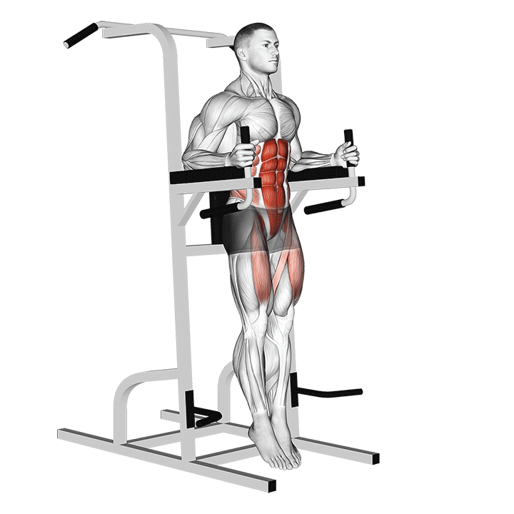 Capitan's Chair Straight Leg Raises exercise animation