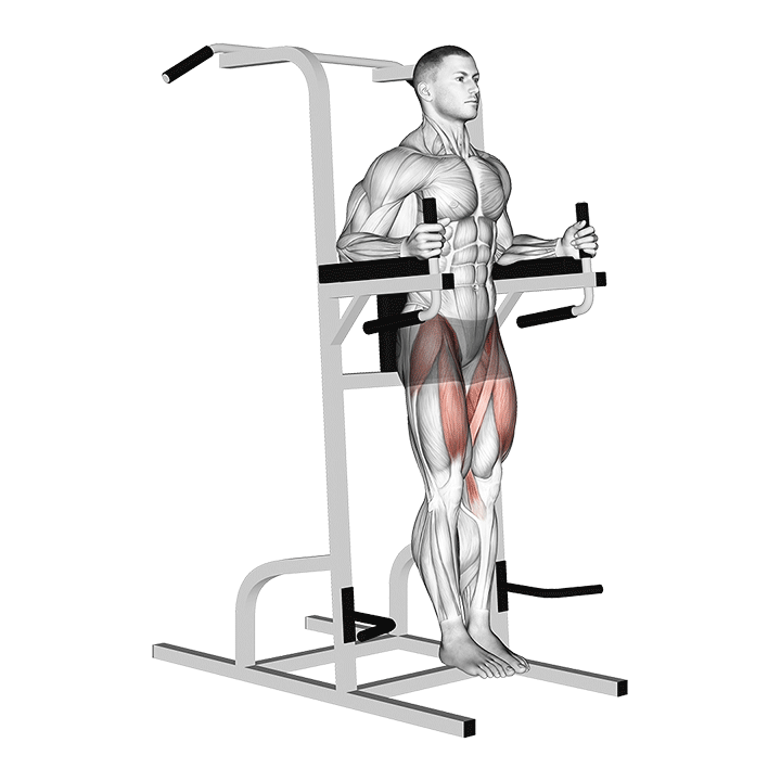 Captains Chair Knee Raises exercise animation