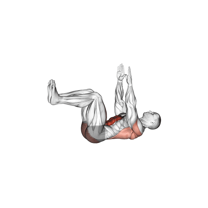 Dead Bug exercise animation