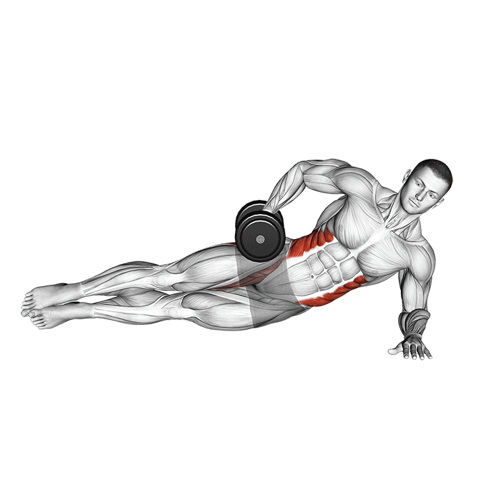 Dumbbell Side Bridge exercise animation