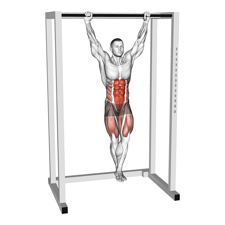 Hanging Knee Circles exercise animation