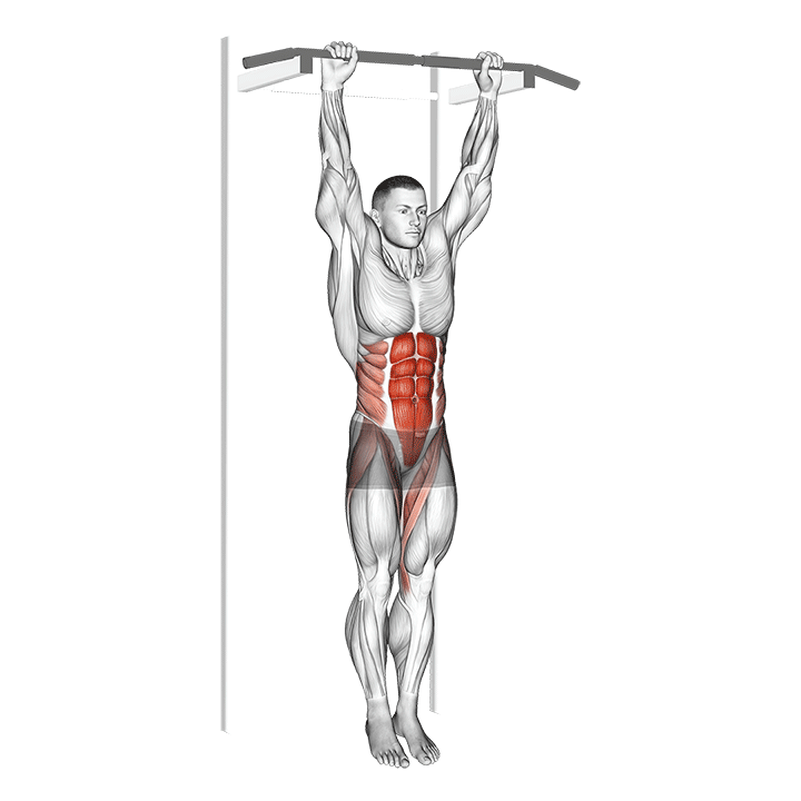 Hanging Knee To Chest exercise animation