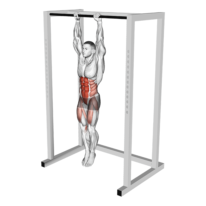 Hanging Knees to Elbows Waist exercise animation