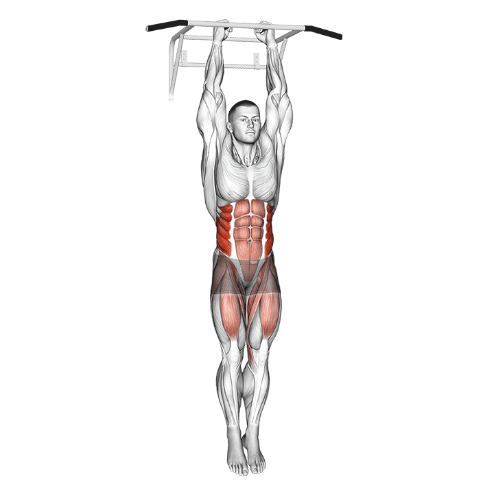 Hanging Oblique Knee Raise exercise animation