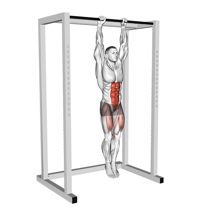 Hanging Straight Leg Raise exercise animation