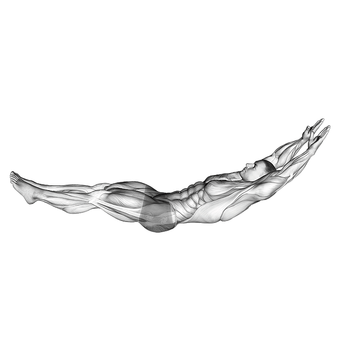 Hollow Body Hold exercise animation