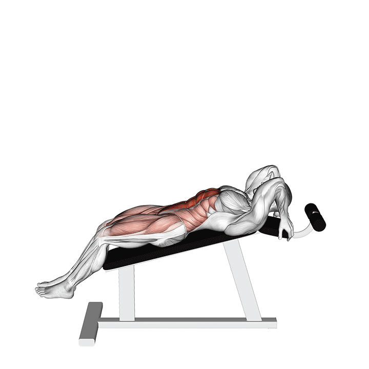 Incline Bench Leg Raises exercise animation