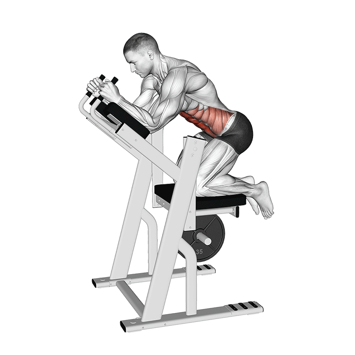 Knee Raise Ab Coaster exercise animation