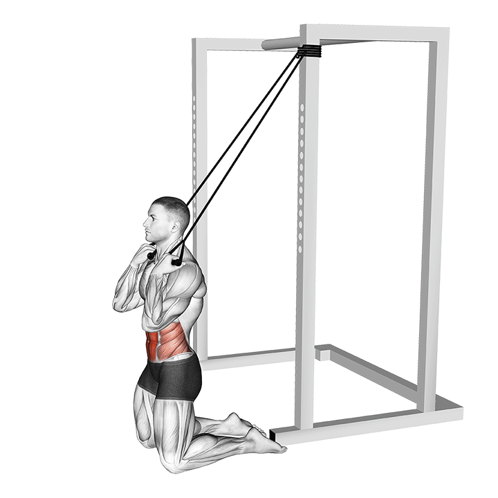 Kneeling Band Abs Crunches exercise animation