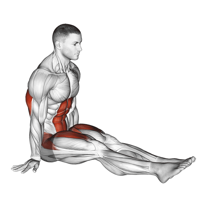 L-Sit exercise animation