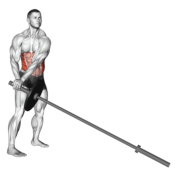 Landmine Twist exercise animation
