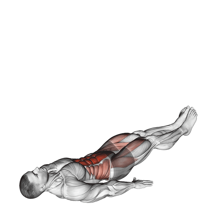Lying Stright Leg Raise exercise animation