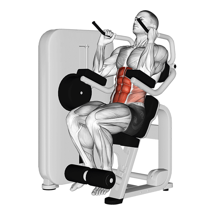 Machine Abdominal Crunches exercise animation