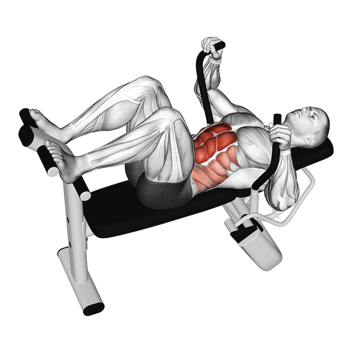 Machine Lying Crunch exercise animation