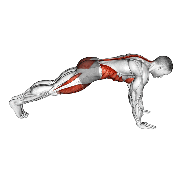 Mountain climber exercise animation