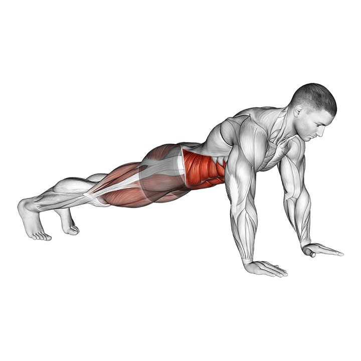 Opposite side elbow to knee exercise animation
