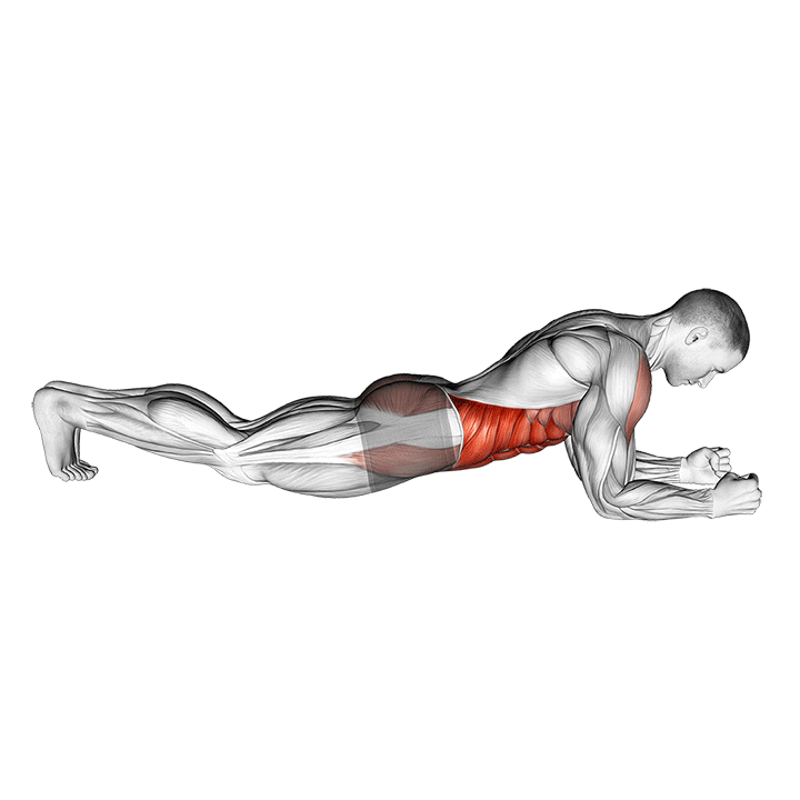 Plank exercise animation