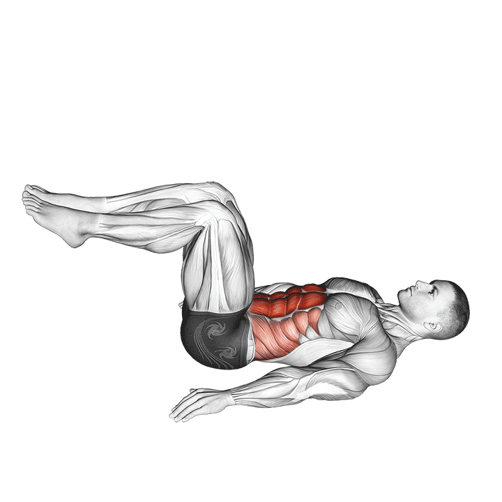 Reverse Crunches exercise animation