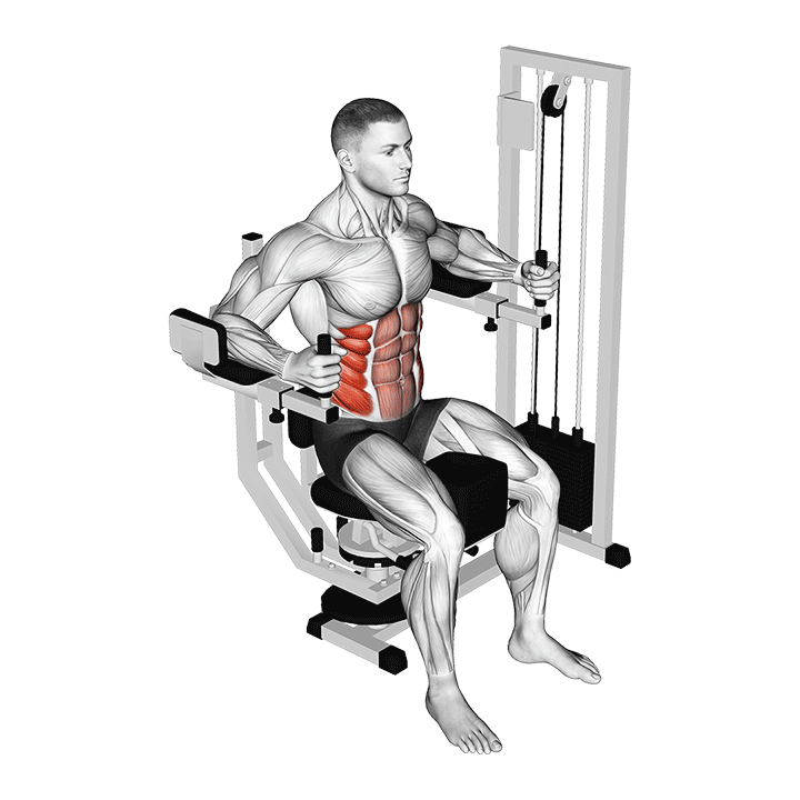 Rotary Torso exercise animation