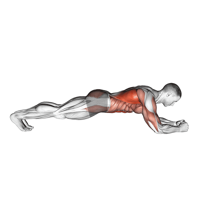Saw Plank exercise animation