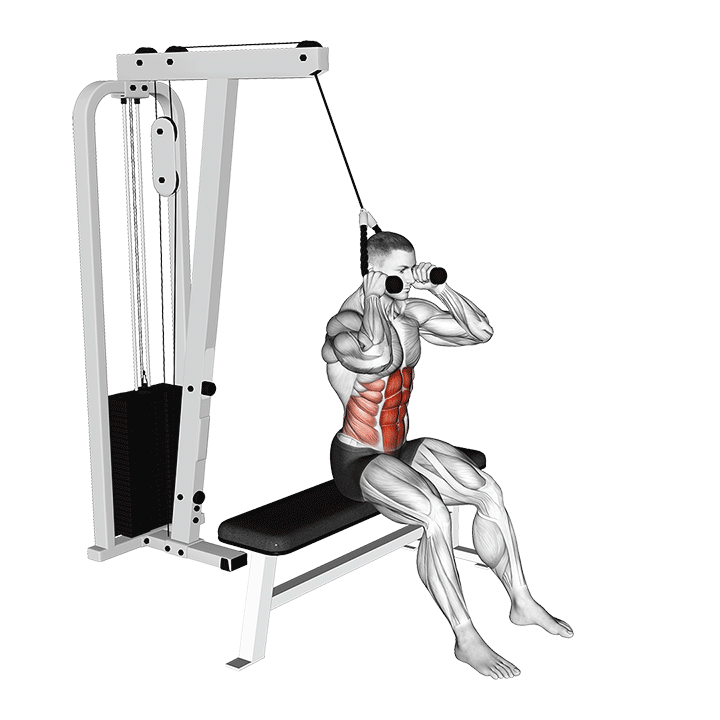 Seated Ab Cable Crunch exercise animation