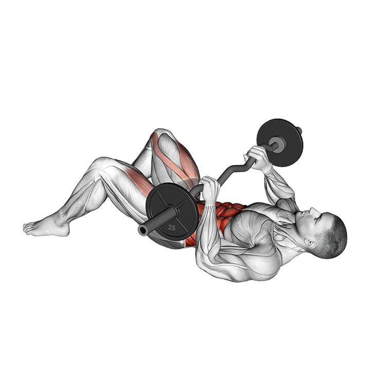 Seated Barbell Twist exercise animation