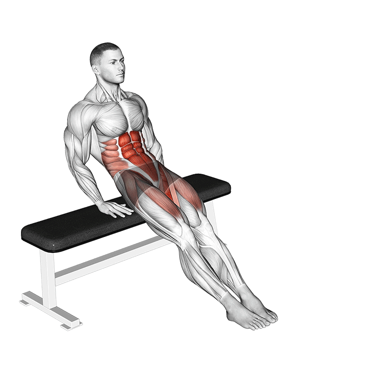 Seated Reverse Circle Crunches exercise animation