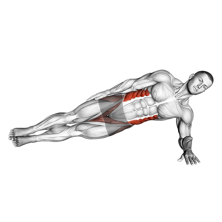 Side Plank exercise animation