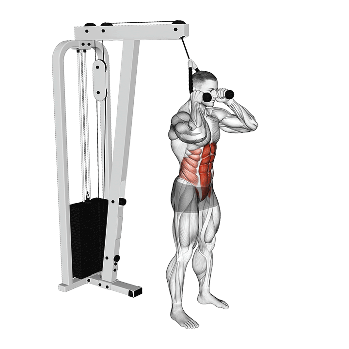 Standing Cable Ab Crunch exercise animation