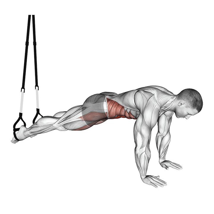 Suspension V-Ups exercise animation