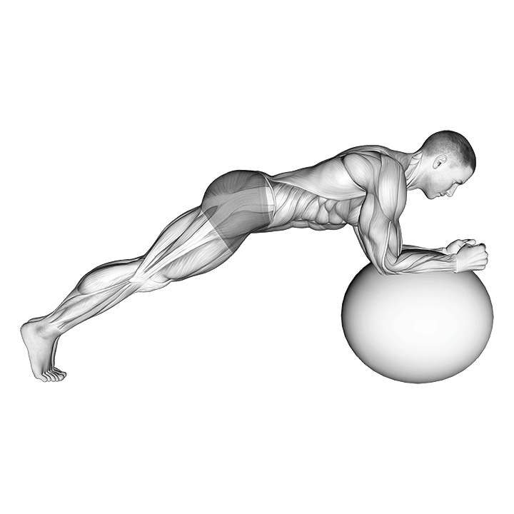 Swiss Ball Plank exercise animation