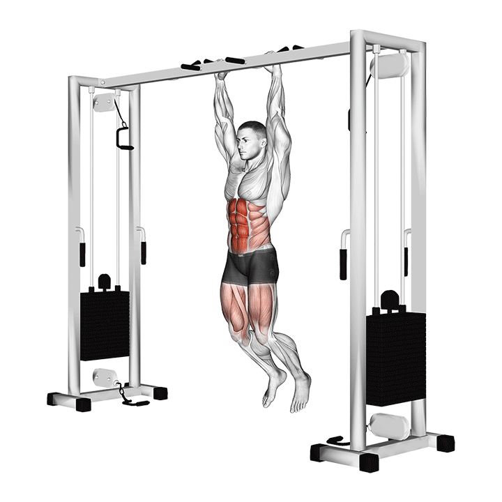 Toes To Bar exercise animation