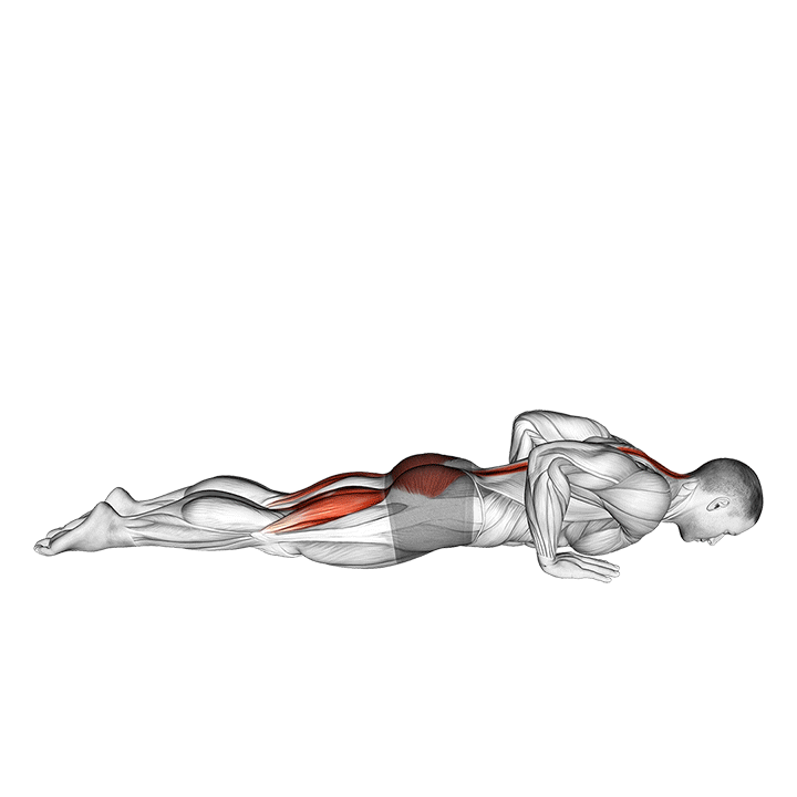 Upward Dog exercise animation