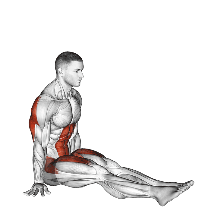 V-Sit Crunch exercise animation
