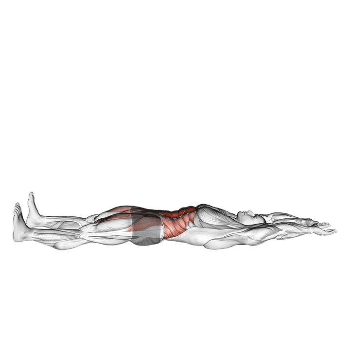 V-Up exercise animation