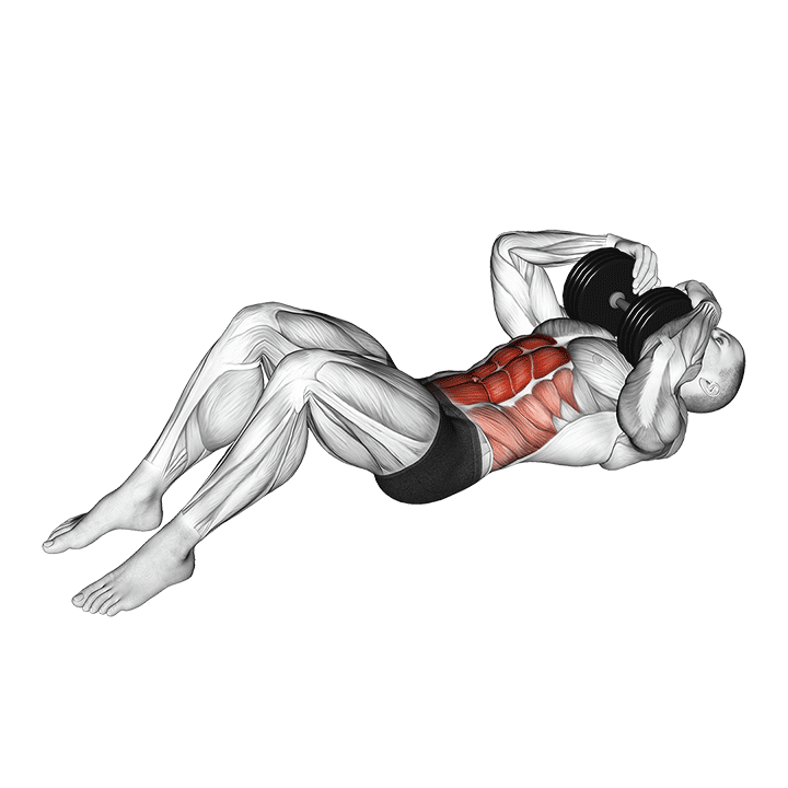 Weighted Ab Crunches exercise animation
