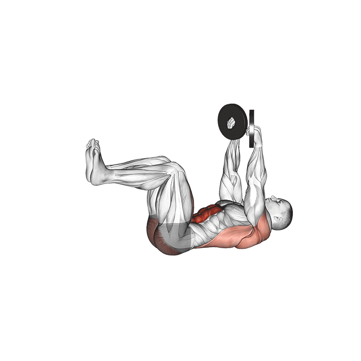 Weighted Dead Bug exercise animation